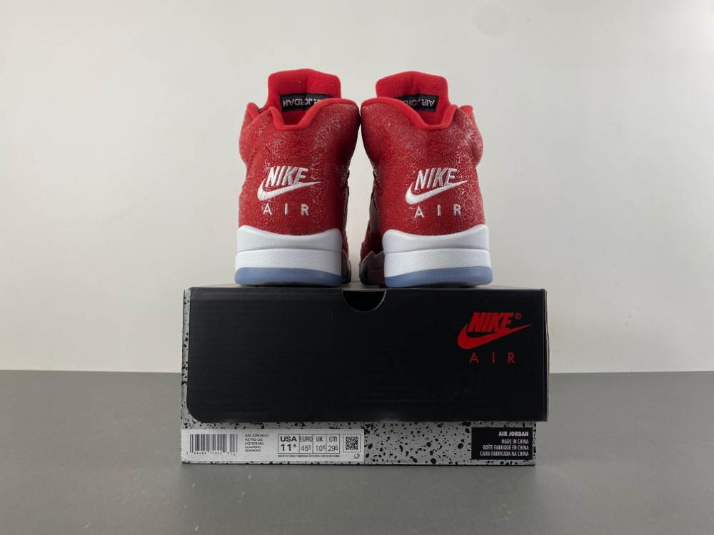 Air Jordan 5 Retro 