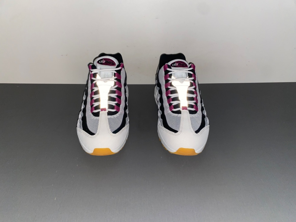 Nike Air Max 95 SB Cactus Flower Men