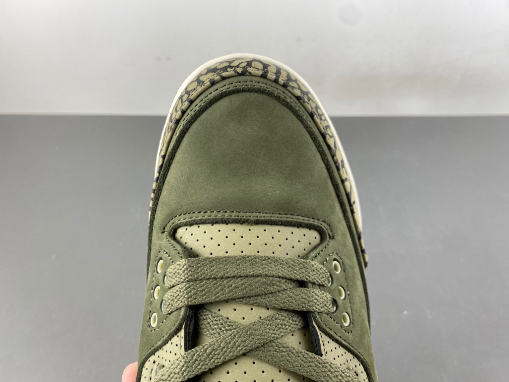 Air Jordan 3 Family Affair Medium Olive DN3707-202