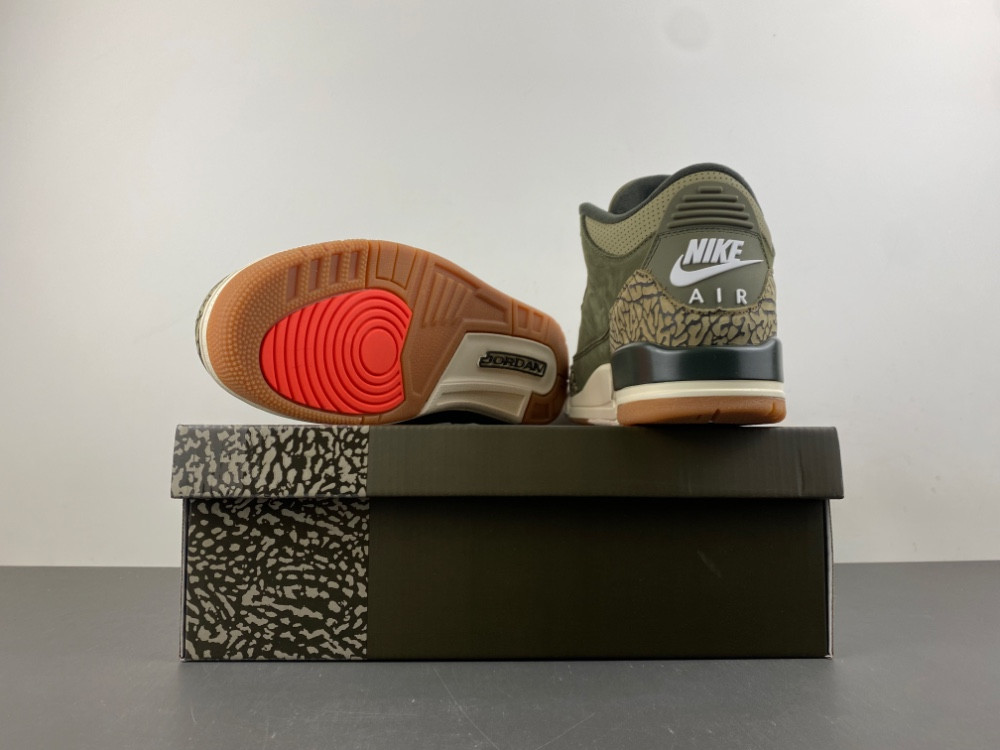 Air Jordan 3 Family Affair Medium Olive DN3707-202