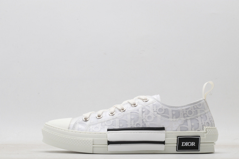 D10r b23 oblique low sneaker