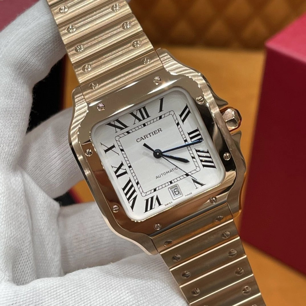 Ca*t1er watch