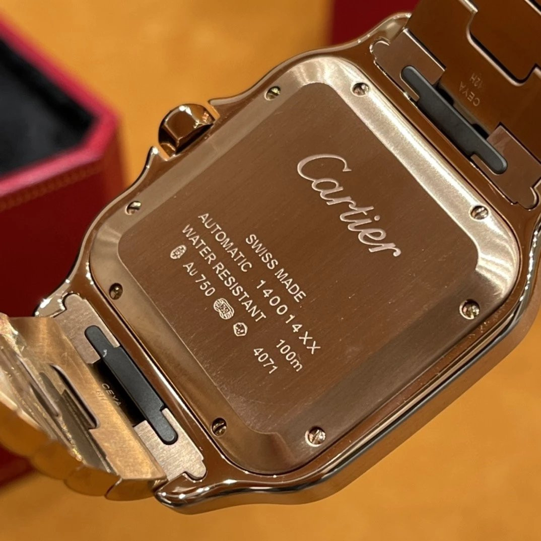 Ca*t1er watch