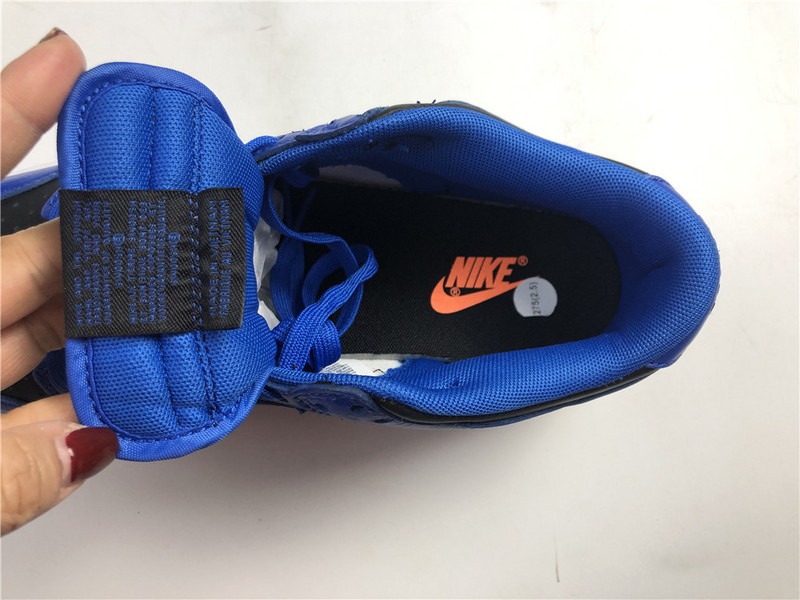 nike dunk low “hyper cobalt” dd1391-001